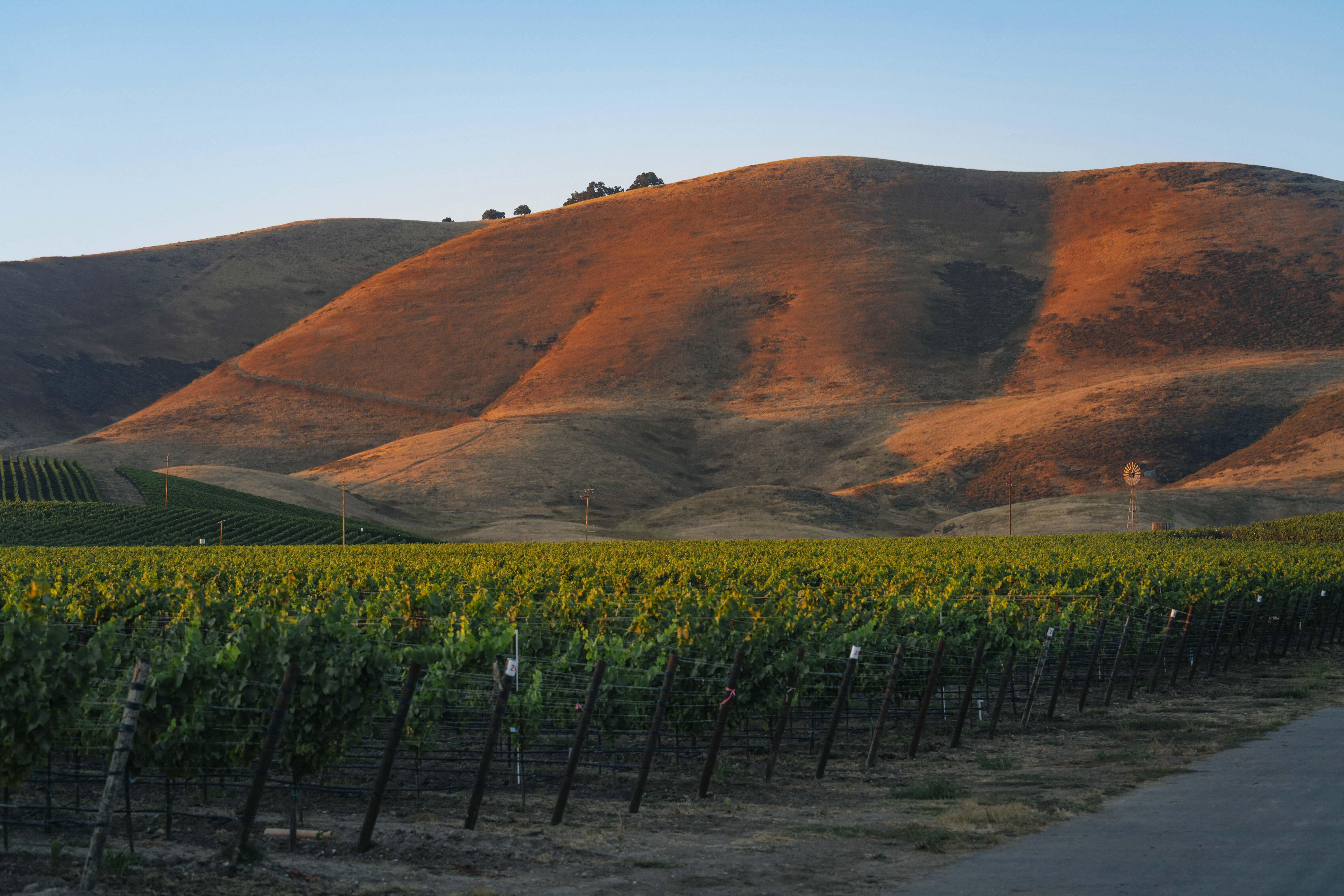 Santa Maria Valley Bench, Santa Barbara County